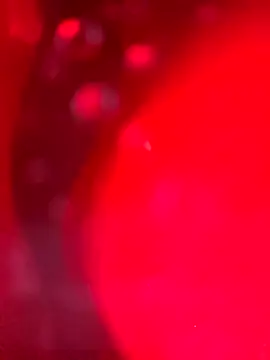 Cobra500hp online show from 28, 3, 2026