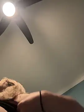 Annelibre online show from 14, 11, 2025