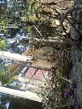 Snapshot of AssamSilchar93 chatting on 7, 2, 2026 AssamSilchar93 online show from 7, 2, 2026