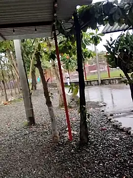 Snapshot of BeetledFlouter12 chatting on 26, 9, 2025 BeetledFlouter12 online show from 26, 9, 2025