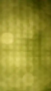 Snapshot of Sexybeer2005 chatting on 7, 12, 2024 Sexybeer2005 online show from 7, 12, 2024