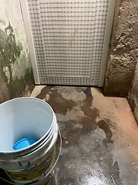 SnapIDRakesh4 online show from 20, 3, 2025