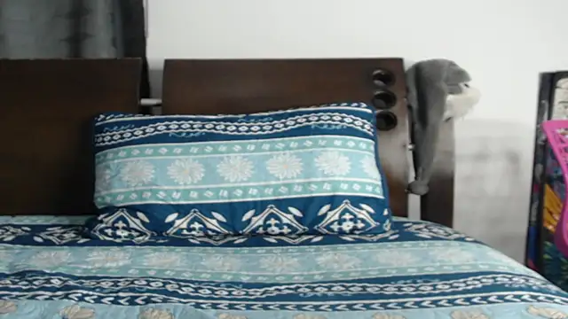 Tobicutee online show from 5, 2, 2026