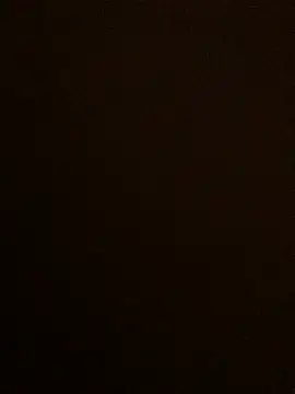 Snapshot of Lona_Lina chatting on 19, 1, 2025 Lona Lina online show from 19, 1, 2025