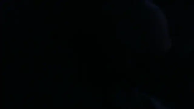 openallforyou online show from 24, 2, 2026