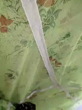 sids0 online show from 9, 12, 2024