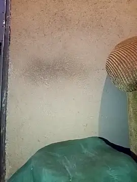 Snapshot of Thickcockzivyy chatting on 20, 2, 2026 Thickcockzivyy online show from 20, 2, 2026