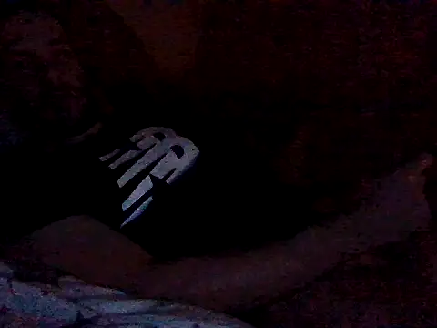 Vicktore007 online show from 31, 10, 2025