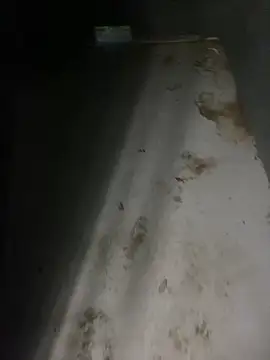 zeekBbc online show from 5, 4, 2026