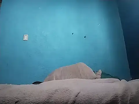 Vago745 online show from 10, 4, 2026