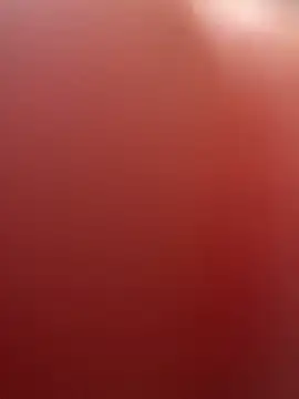 Snapshot of portugadopau chatting on 10, 9, 2025 portugadopau online show from 10, 9, 2025