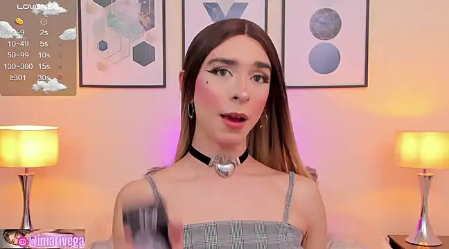 Snapshot of ariivega chatting on 13, 12, 2024 ariivega online show from 13, 12, 2024