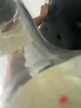 Zairaisak online show from 16, 3, 2026