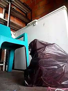 edijavimes online show from 28, 2, 2026