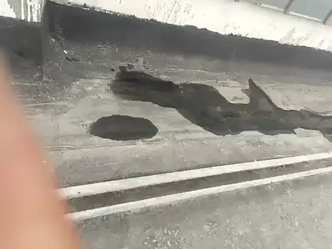 Gururonny07 online show from 15, 1, 2025