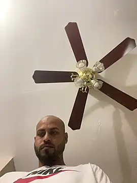 islandvybee55 online show from 28, 3, 2026