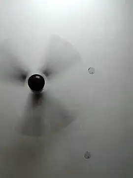 cutiecatty21 online show from 23, 10, 2025