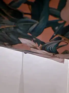 cutiecatty21 online show from 16, 1, 2026