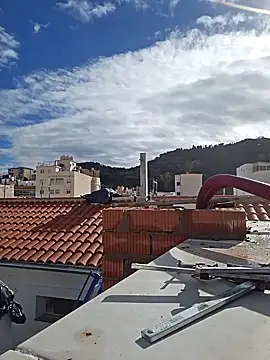 seloloko20 online show from 28, 1, 2025