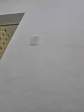 loiraodanadinha online show from 11, 12, 2024