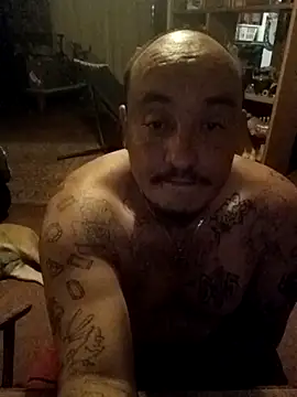 wilsons12 online show from 17, 3, 2026