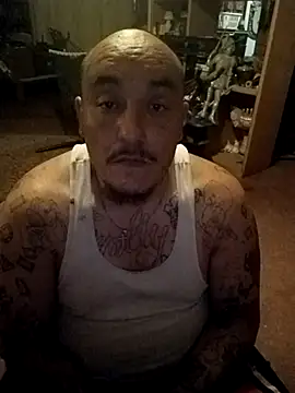 wilsons12 online show from 24, 3, 2026