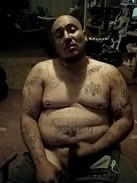 wilsons12 online show from 4, 4, 2026