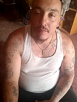 wilsons12 online show from 21, 4, 2026