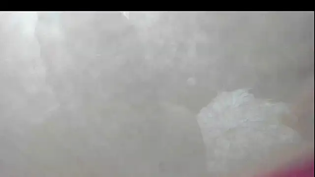 Evaaross 2345 online show from 19, 1, 2026