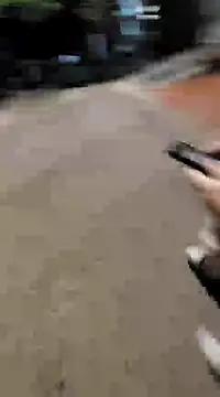 aurelialux online show from 1, 2, 2025