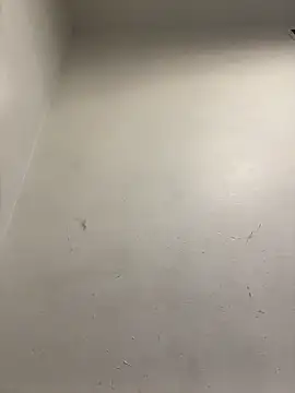 Snapshot of honeybrow chatting on 8, 1, 2025 honeybrow online show from 8, 1, 2025