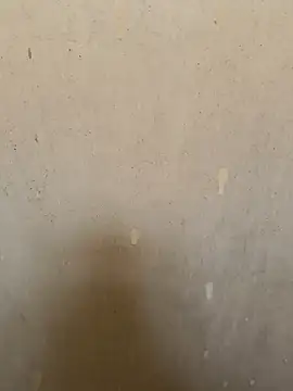 loveme99004 online show from 18, 3, 2026