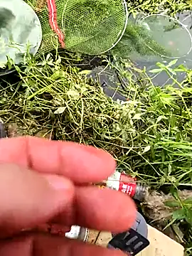 huzi518 online show from 25, 10, 2025