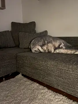 godspot  online show from 30, 10, 2025