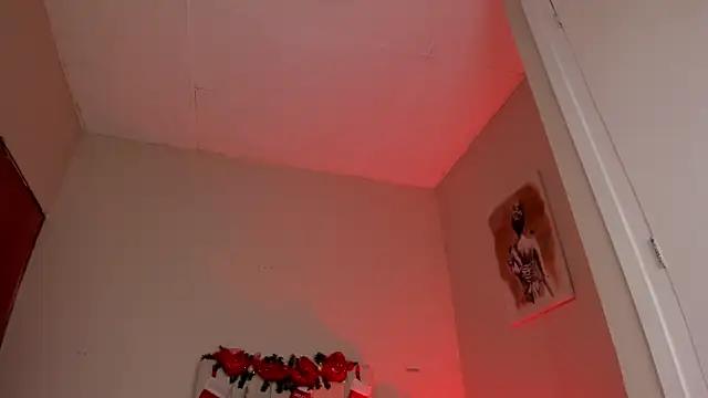 Snapshot of dani_skinny_ chatting on 27, 12, 2024 dani skinny  online show from 27, 12, 2024