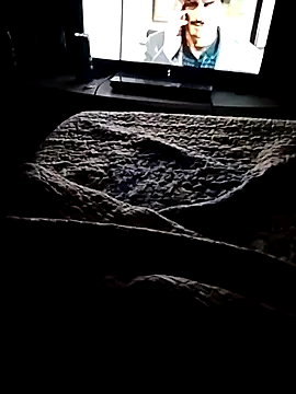 minitranca online show from 21, 2, 2026