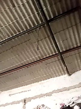 strip 1212 online show from 13, 11, 2025