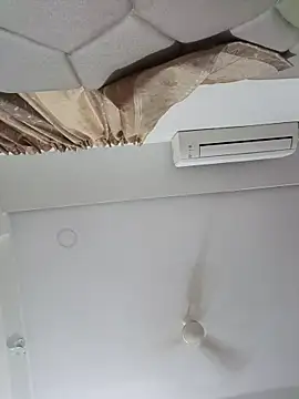 ridetoheaven online show from 2, 3, 2026