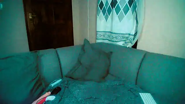 GoldenPussyXOXO online show from 5, 12, 2024