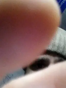 fitguy7124u online show from 2, 12, 2025