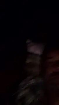 Snapshot of Gianlucazeis chatting on 3, 6, 2026 Gianlucazeis online show from 3, 6, 2026