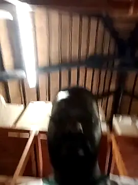 Snapshot of Touch_mysoul chatting on 26, 10, 2025 Touch mysoul online show from 26, 10, 2025