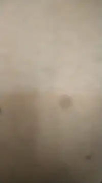 rohitlov150 online show from 13, 2, 2025