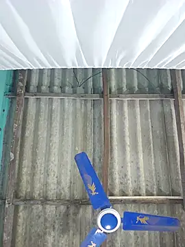 hotbaby 5 online show from 13, 9, 2025