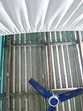 hotbaby 5 online show from 14, 11, 2025