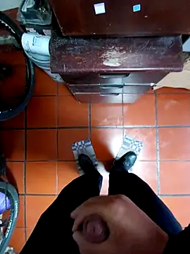 Camilo-31RI online show from 6, 4, 2026