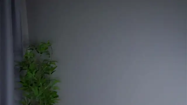 AftonConnett online show from 23, 2, 2026