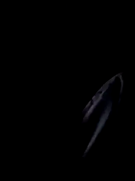 Inkognito0495 online show from 29, 10, 2025