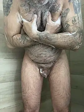 Beardedbear37 online show from 3, 3, 2025