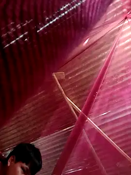 Huebolocko online show from 31, 10, 2025